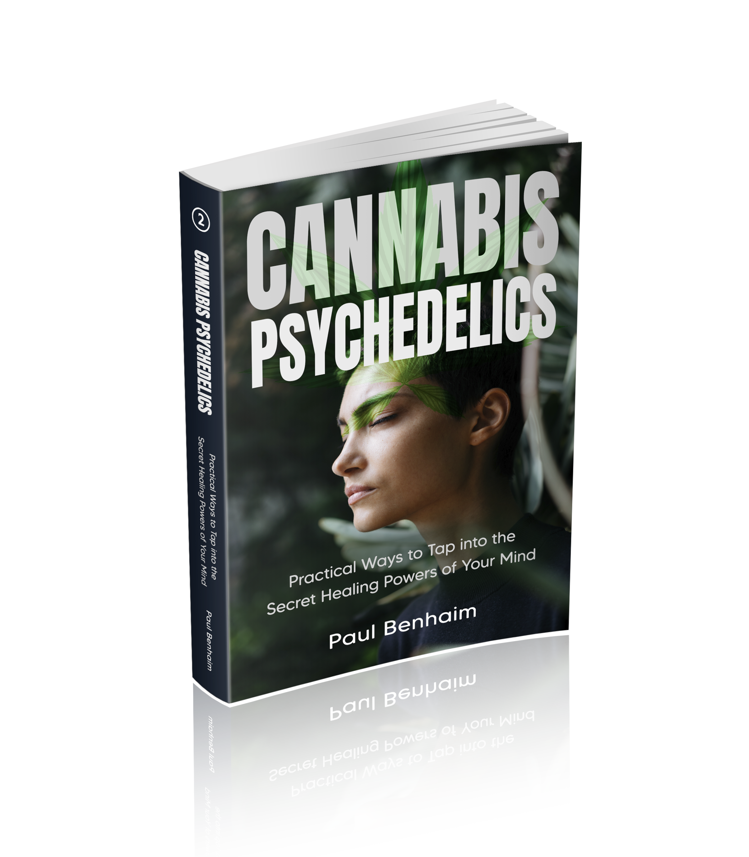 Cannabis Psychedelics and Mindfulness