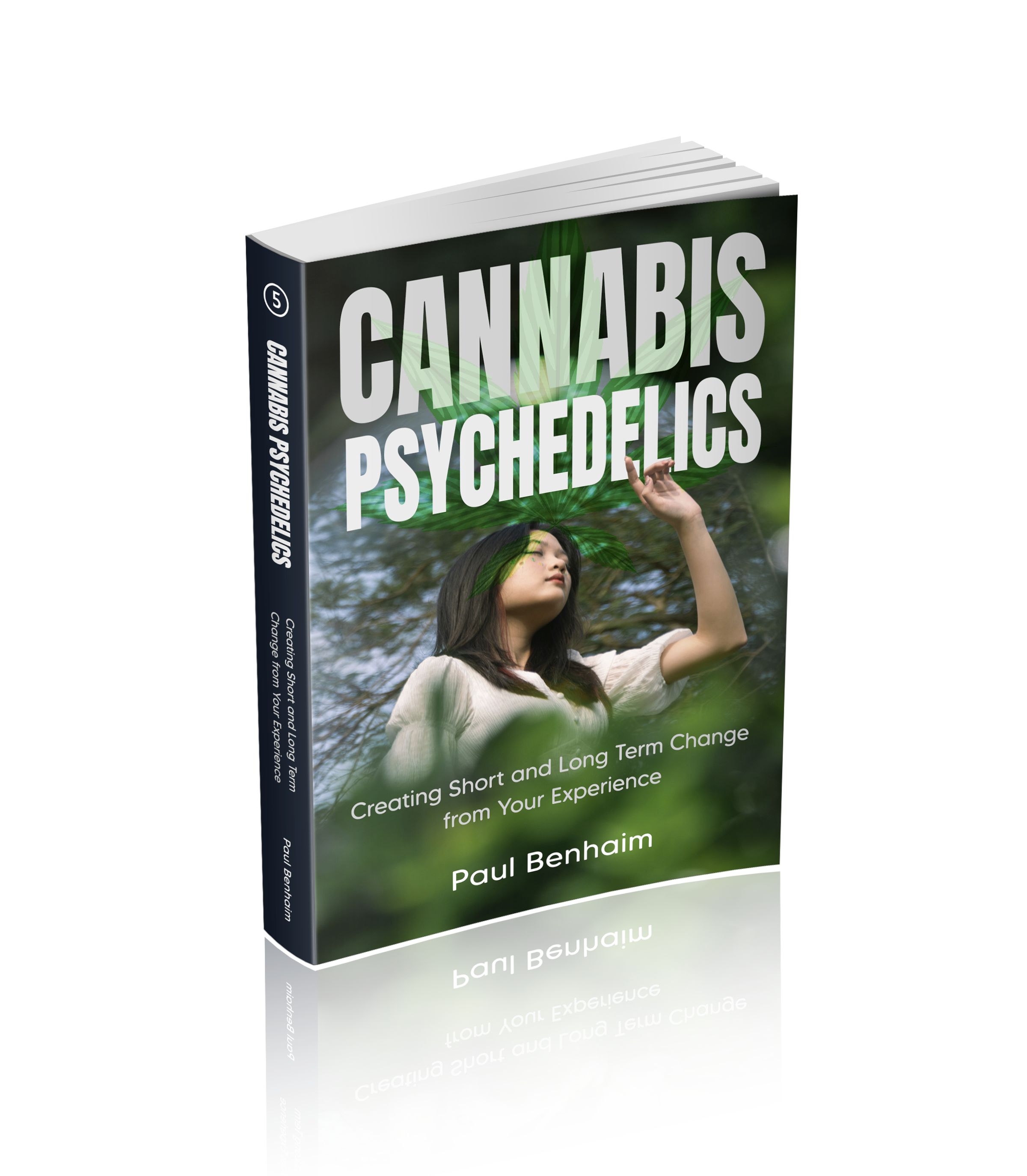 Cannabis Psychedelics - Integration